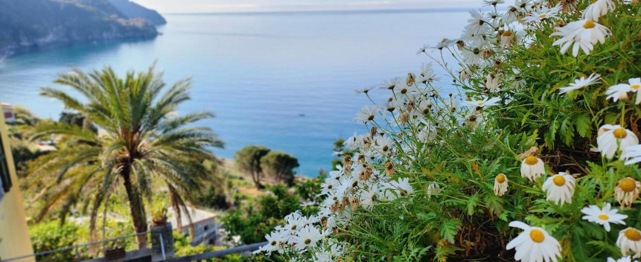 NEW 2022 Hanging Garden Corniglia Eksteriør bilde