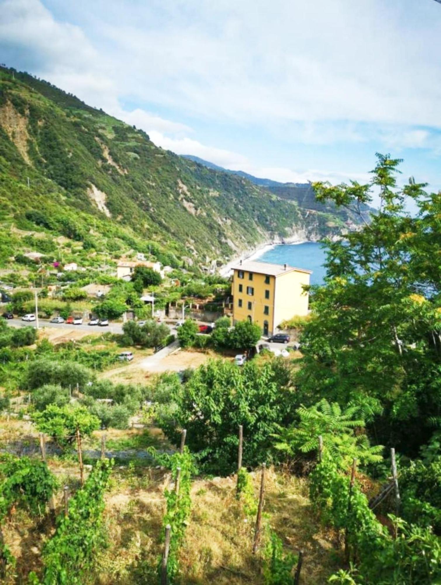 NEW 2022 Hanging Garden Corniglia Eksteriør bilde